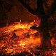 The fire is already burning 10,000 acres.